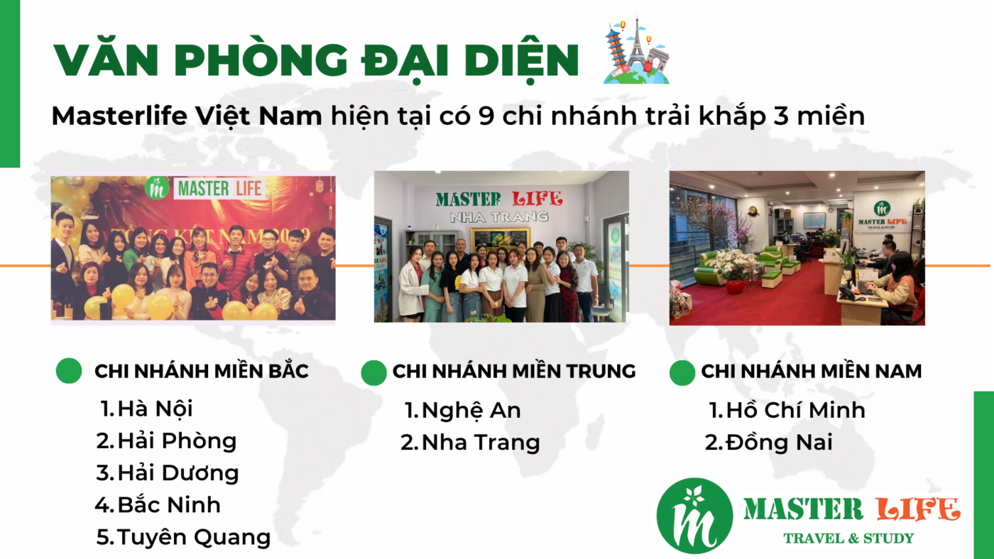 MasterLife Việt Nam