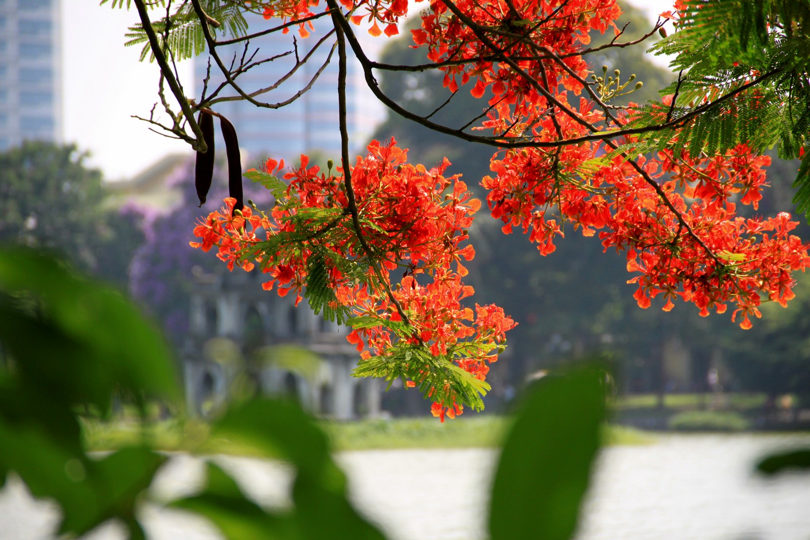 Tour Hà Nội - Thương ca mùa hạ