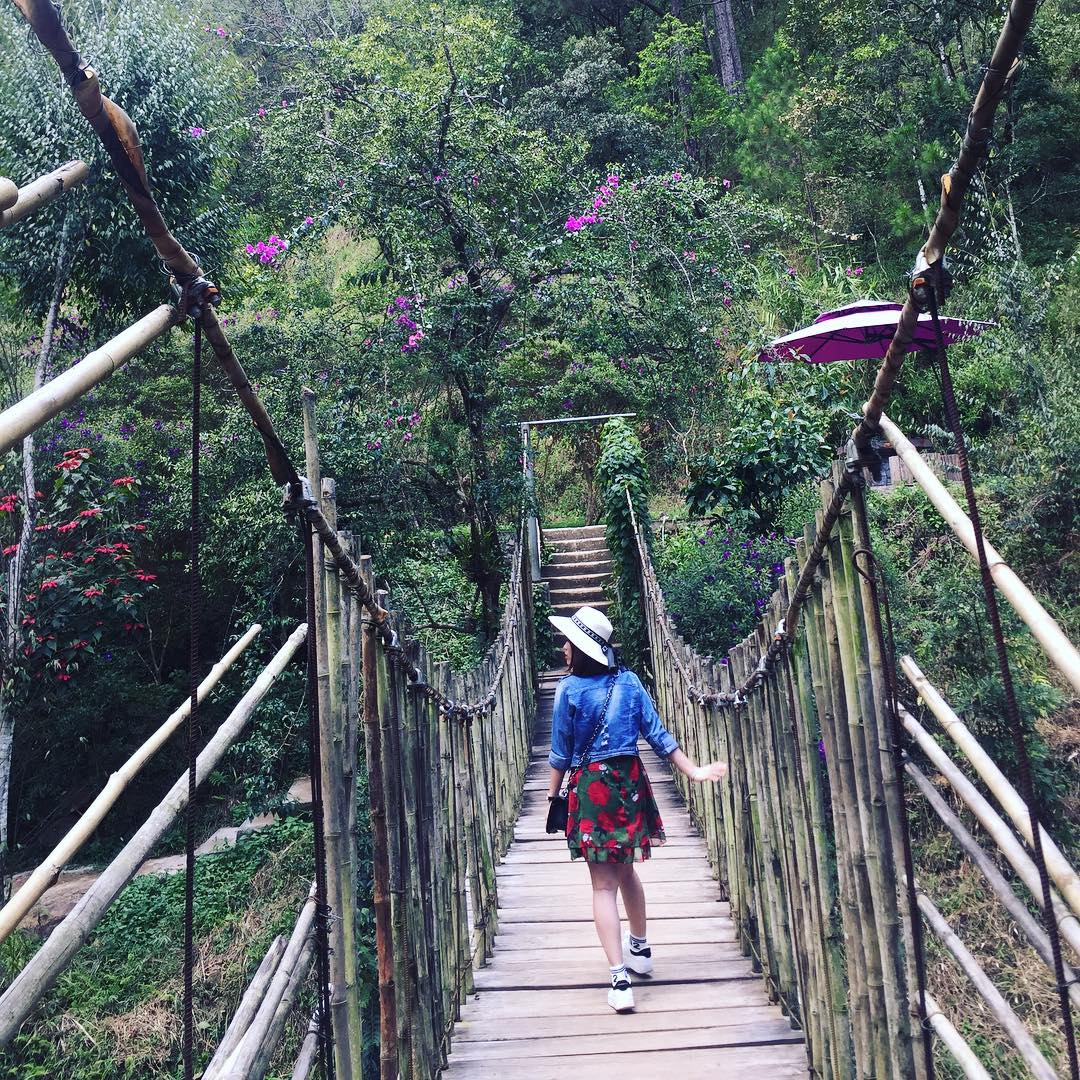 Tour Đà Lạt - Điểm đến cho những chuyên gia sống ảo