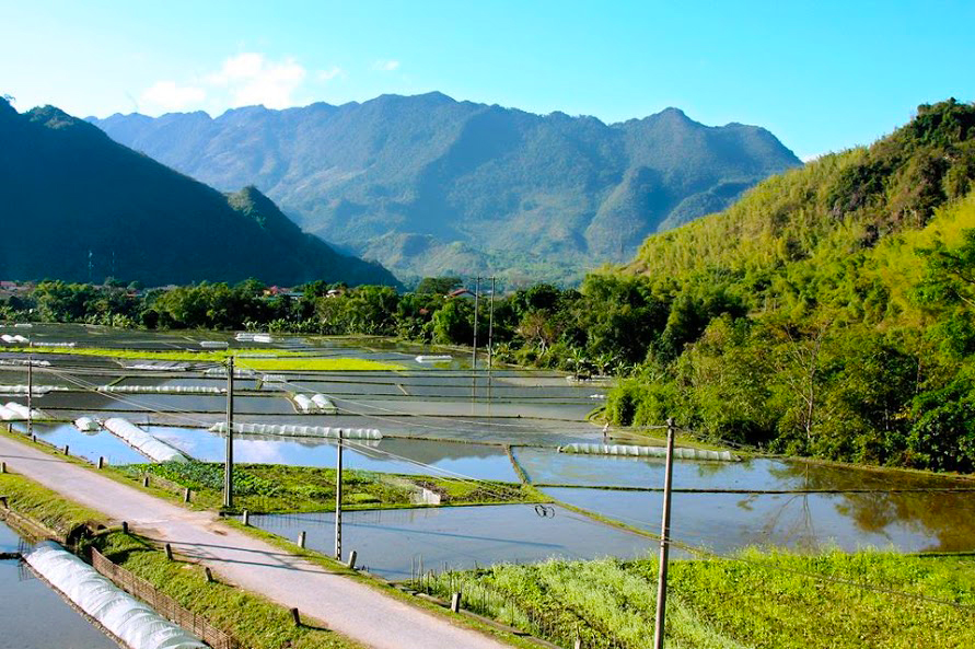 Nếu được hãy ghé luôn bản Văn khi tour du lịch Mai Châu để tham gia những lễ hội đặc sắc ở đây nhé. 