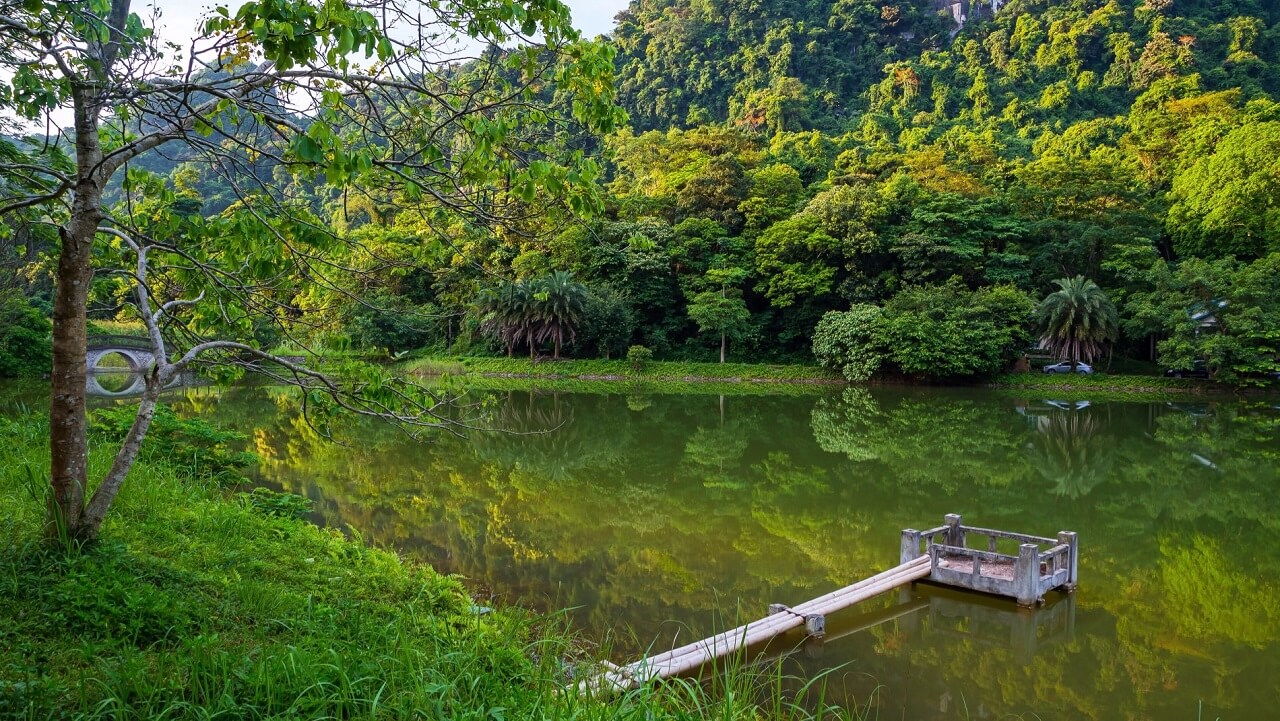 Vườn Quóc gia Cúc Phương sẽ đem đến một không gian đa dạng sinh học vô cùng thú vị và độc đáo. Tour du lich Ninh Binh.